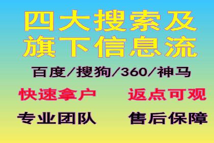 百度竞价与搜索引擎优化（SEO）的协同效应案例